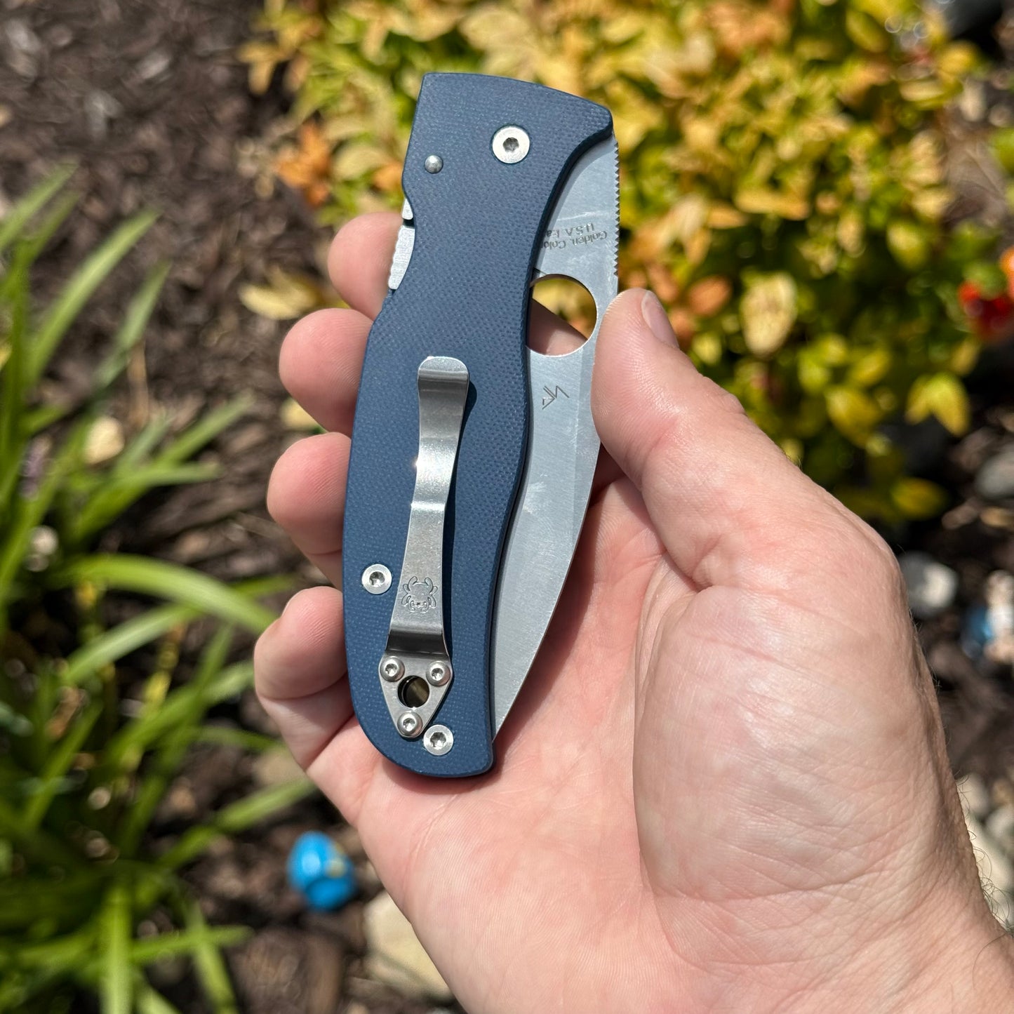 Spyderco Bodacious Knife – Cobalt Blue G‑10 Handle, CPM SPY27 Blade, Compression Lock – Made in USA (SC263GPCBL)