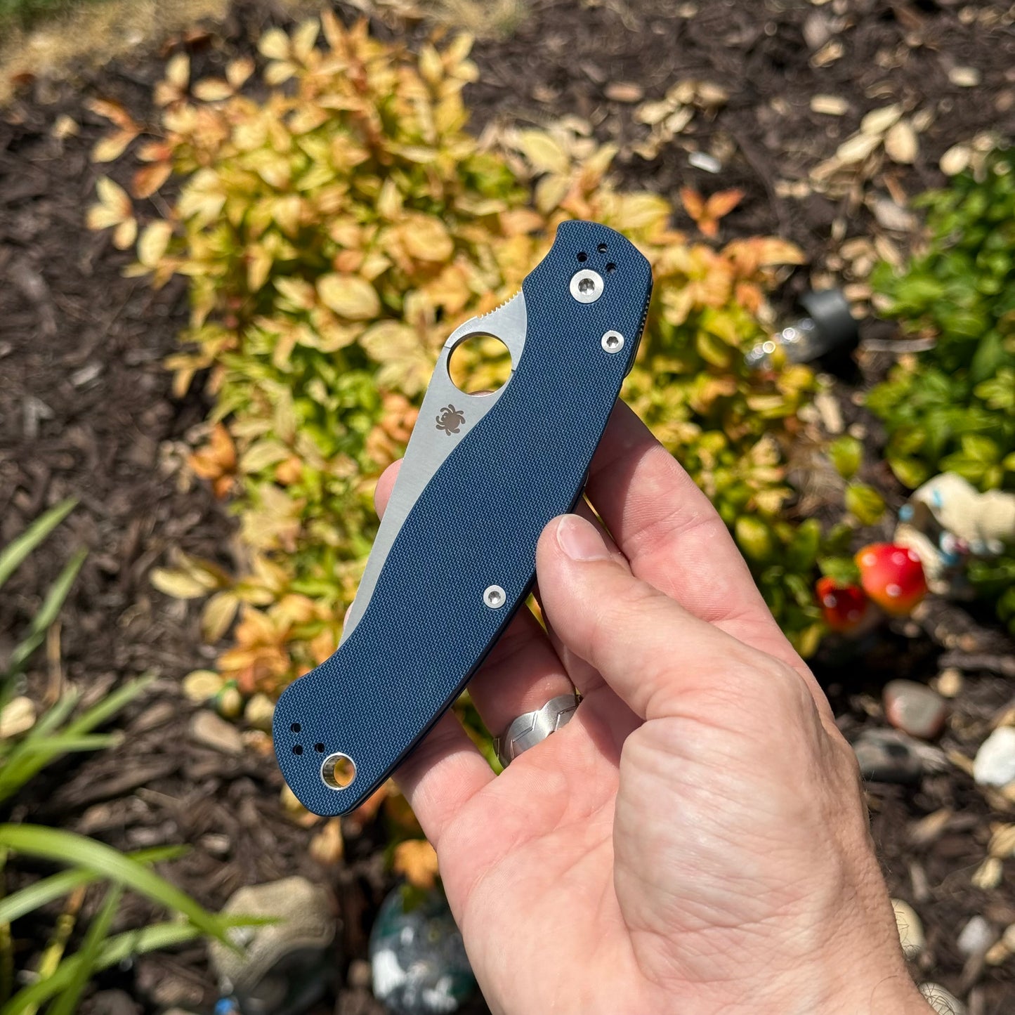 Military 2 Knife - Cobalt Blue G-10 Handle, CPM SPY27 Blade, Compression Lock - Made in USA (SC36GPCBL2)