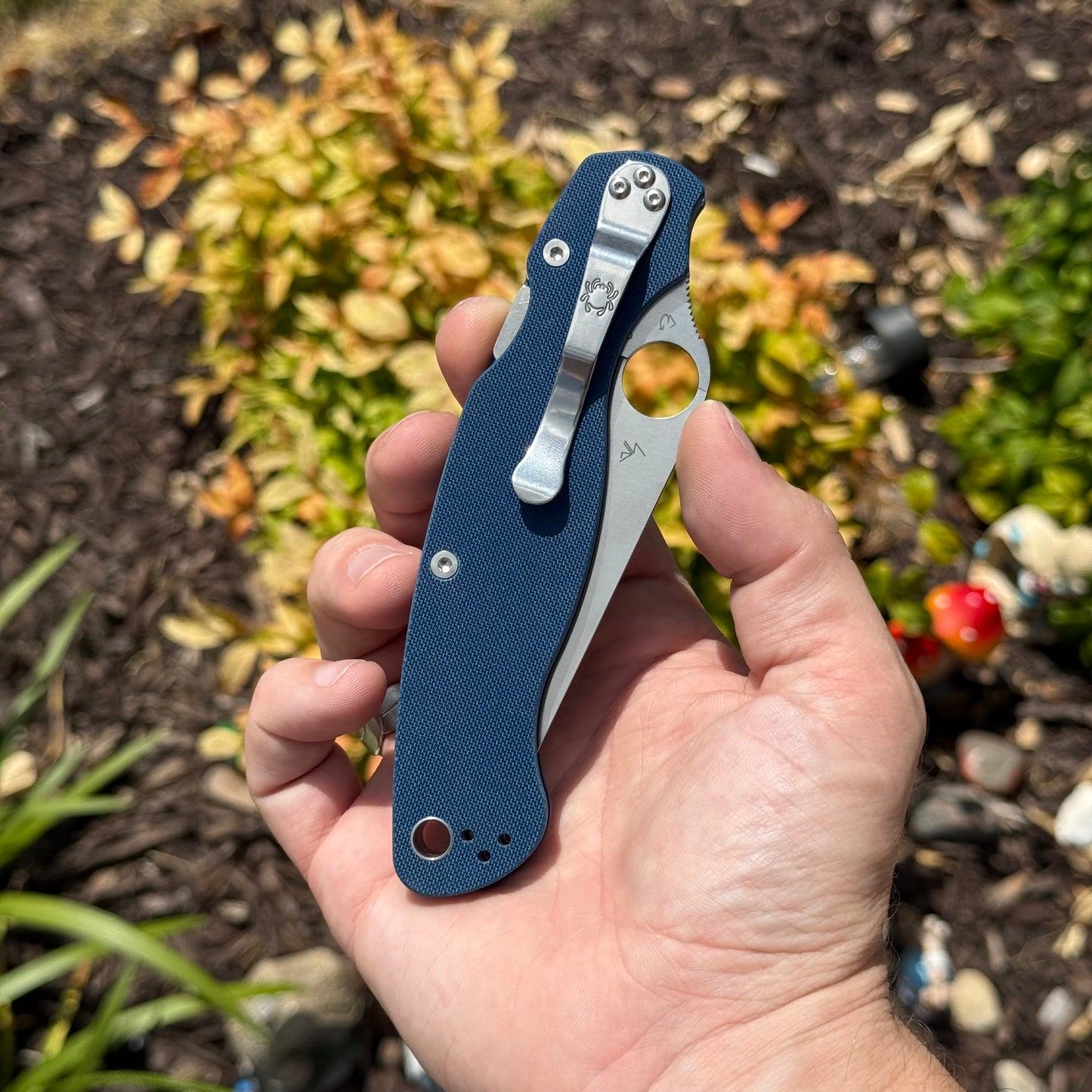 Military 2 Knife - Cobalt Blue G-10 Handle, CPM SPY27 Blade, Compression Lock - Made in USA (SC36GPCBL2)