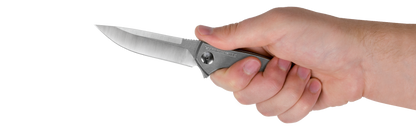 ZT0450