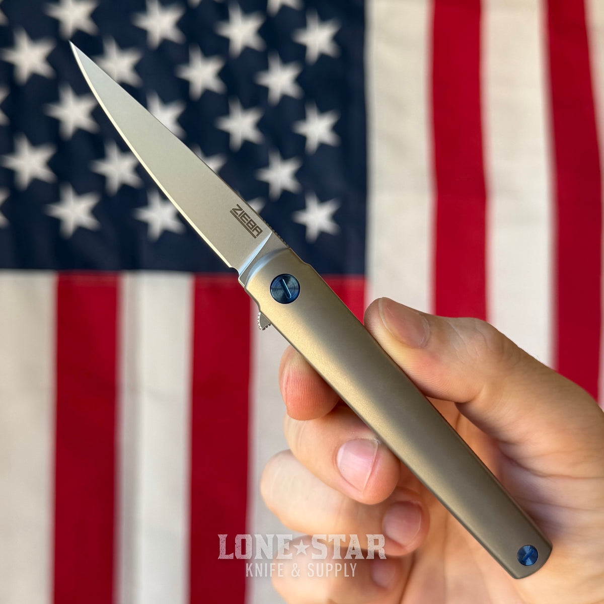 The Back Door: Michael Zieba MS3 Flipper - 2.6" M390, Titanium - Made in USA (Trade In)
