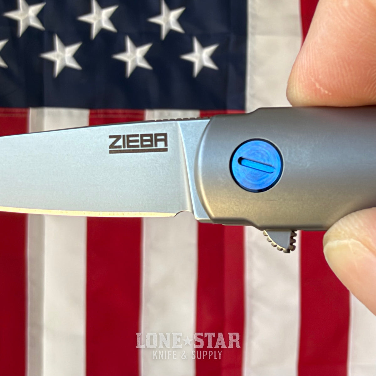 The Back Door: Michael Zieba MS3 Flipper - 2.6" M390, Titanium - Made in USA (Trade In)