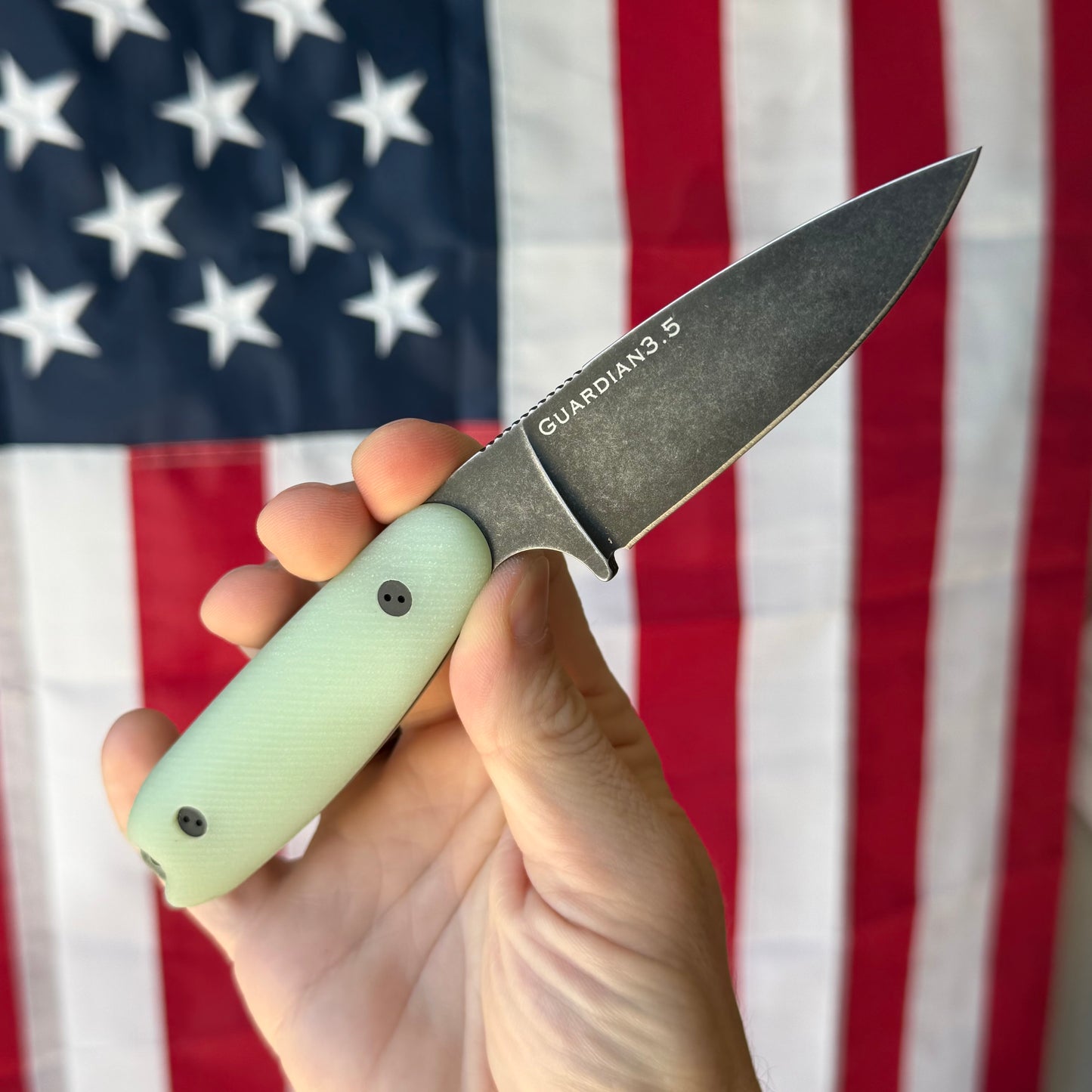 The Back Door: Used – Bradford Guardian 3.5 3.75" Fixed Blade, M390, Jade G10, New Scales and Leather Sheath – Made in USA
