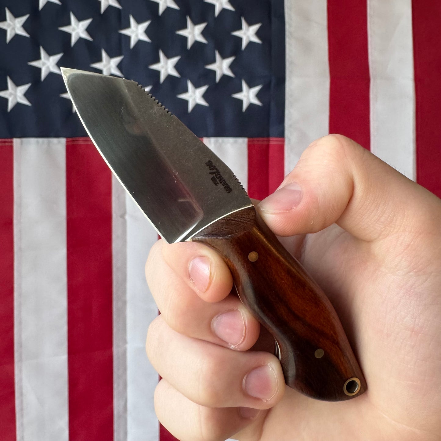 907 Knives ADAK - Handmade Alaskan Fixed Blade, AEB-L, AZ Desert Ironwood Handle - Made in USA (ADAK-6)